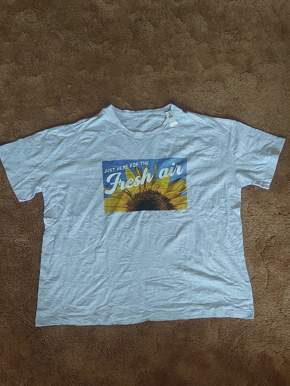 aerie Light Gray Heathered Tee with Yellow Sunflower Graphic and Blue Accents